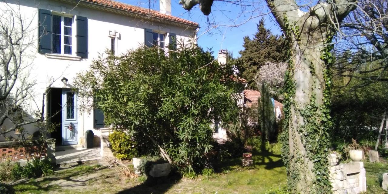 الشقق الفندقية أفينيونفي  Le Petit Palais Maisonnette المظهر الخارجي الصورة