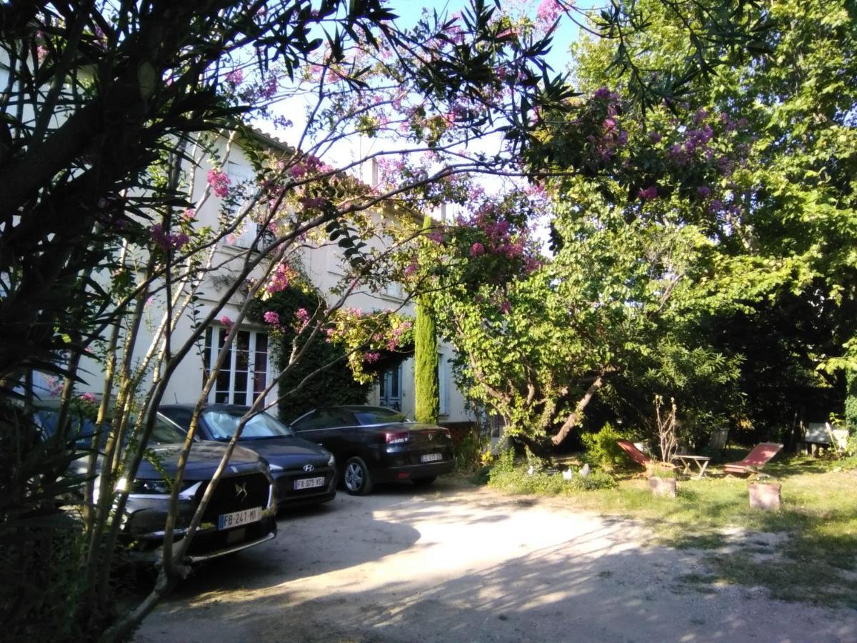 الشقق الفندقية أفينيونفي  Le Petit Palais Maisonnette المظهر الخارجي الصورة