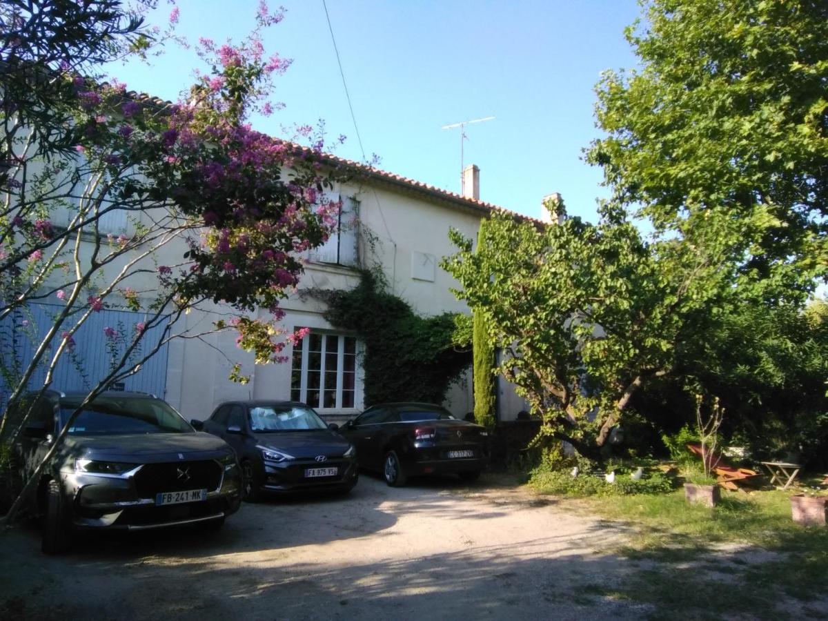 الشقق الفندقية أفينيونفي  Le Petit Palais Maisonnette المظهر الخارجي الصورة